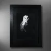 Lifestyle photo of Night Shift, an art prints by Tina Fletcher of a barn owl, in frame