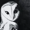 Lifestyle photo of Night Shift, an art prints by Tina Fletcher of a barn owl, close up