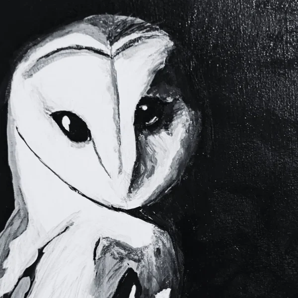Lifestyle photo of Night Shift, an art prints by Tina Fletcher of a barn owl, close up