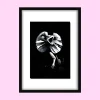 All Talker – Original Acrylic Painting (Frilled-Neck Lizard)