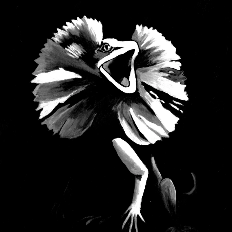A quiet, stark moment illustrating the frilled-neck lizard painting All Talker