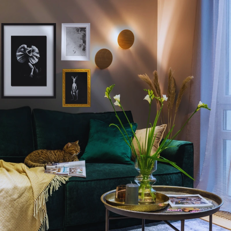 A quiet, stark moment illustrating black and white art in a colourful room