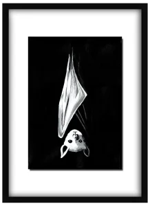 Framed Hang Ten print of a flying fox hanging on a wall