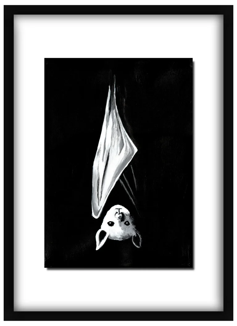 Hang Ten – Fine Art Print (Flying Fox)