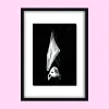 Hang Ten – Original Acrylic Painting (Flying Fox)