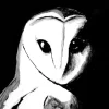 Night Shift – Original Acrylic Painting (Barn Owl)