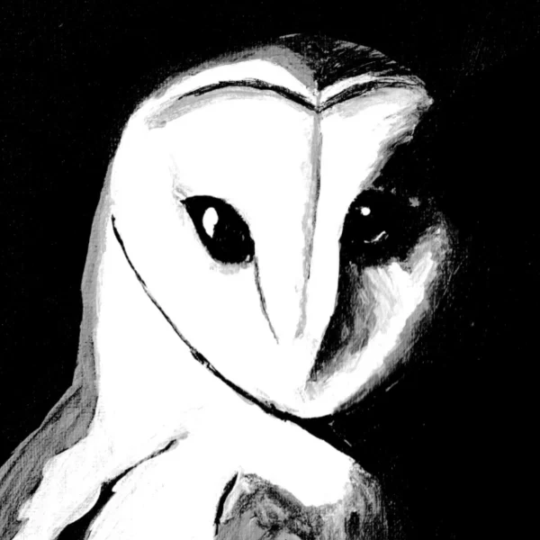 Night Shift – Original Acrylic Painting (Barn Owl)