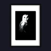 Night Shift – Original Acrylic Painting (Barn Owl)