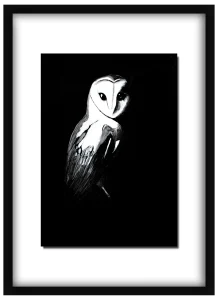 Framed Night Shift print of a barn owl hanging on a wall