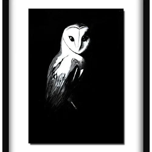 Night Shift – Fine Art Print (Barn Owl)