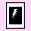 Night Shift – Original Acrylic Painting (Barn Owl)