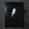 Lifestyle photo of Night Shift, an art prints by Tina Fletcher of a barn owl, styled in a room setting
