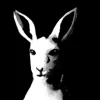 Plus One – Original Acrylic Painting (Kangaroo)