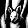 Plus One – Original Acrylic Painting (Kangaroo)
