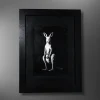 plus-one-kangaroo-n1 Plus One – Original Acrylic Painting · Kangaroo