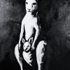 plus-one-kangaroo-n2 Plus One – Original Acrylic Painting · Kangaroo