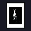 Plus One – Original Acrylic Painting (Kangaroo)