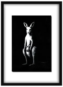 Framed Plus One print of a kangaroo hanging on a wall