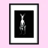 Plus One – Original Acrylic Painting (Kangaroo)