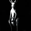 plus-one-original-n1 (1) Plus One – Original Acrylic Painting · Kangaroo