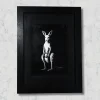 plus-one-positional-n1 Plus One – Original Acrylic Painting · Kangaroo