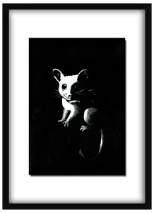 Framed Roof Access print of a ringtail possum hanging on a wall