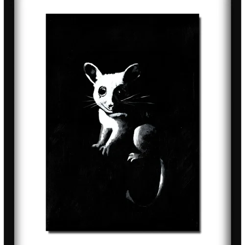 Roof Access – Fine Art Print (Possum)