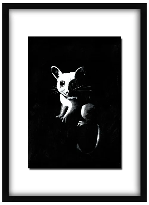 roof-access-main-framed Framed Roof Access print of a ringtail possum hanging on a wall
