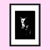 Roof Access – Original Acrylic Painting (Possum)