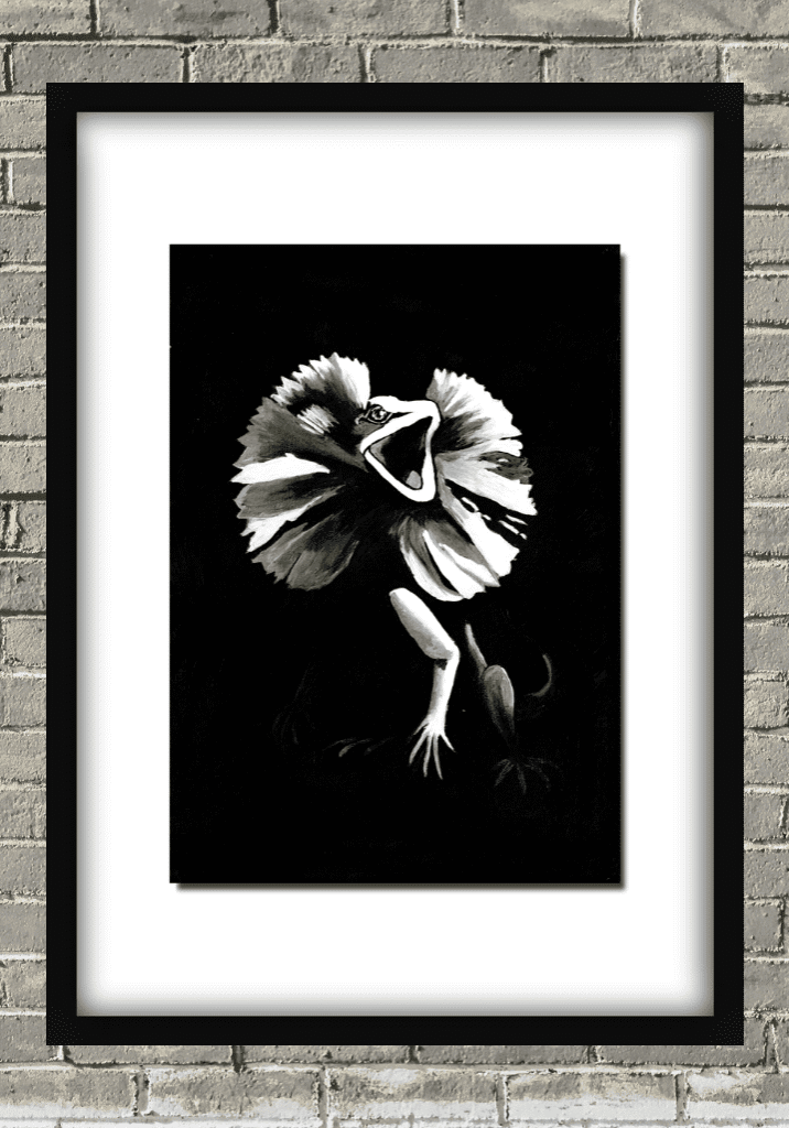 Frill Seeker Frill Seeker
