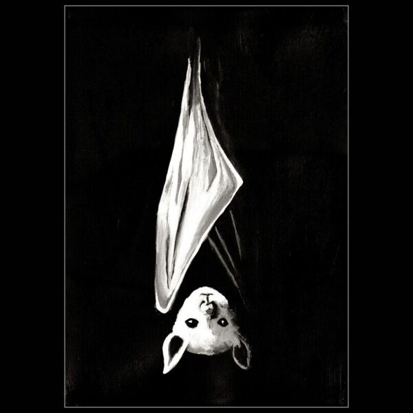 Nocturnally Yours