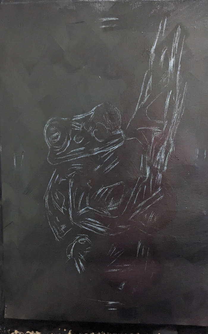 frog1 frog1