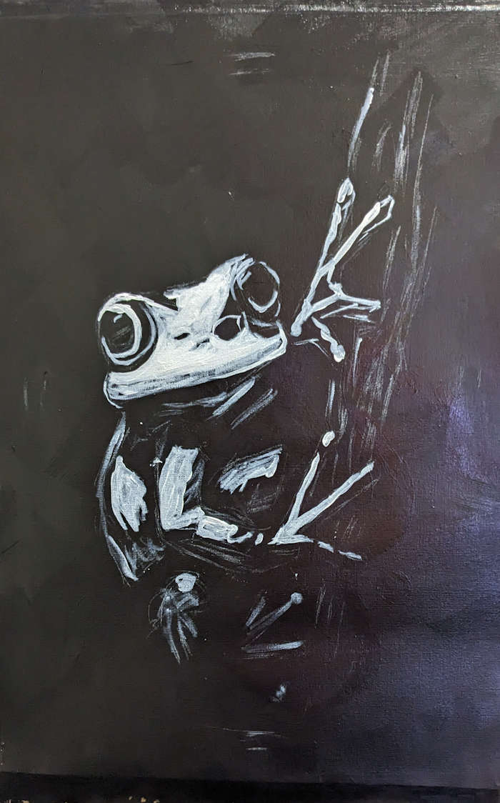 frog2 frog2