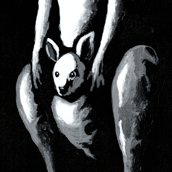 roo the night