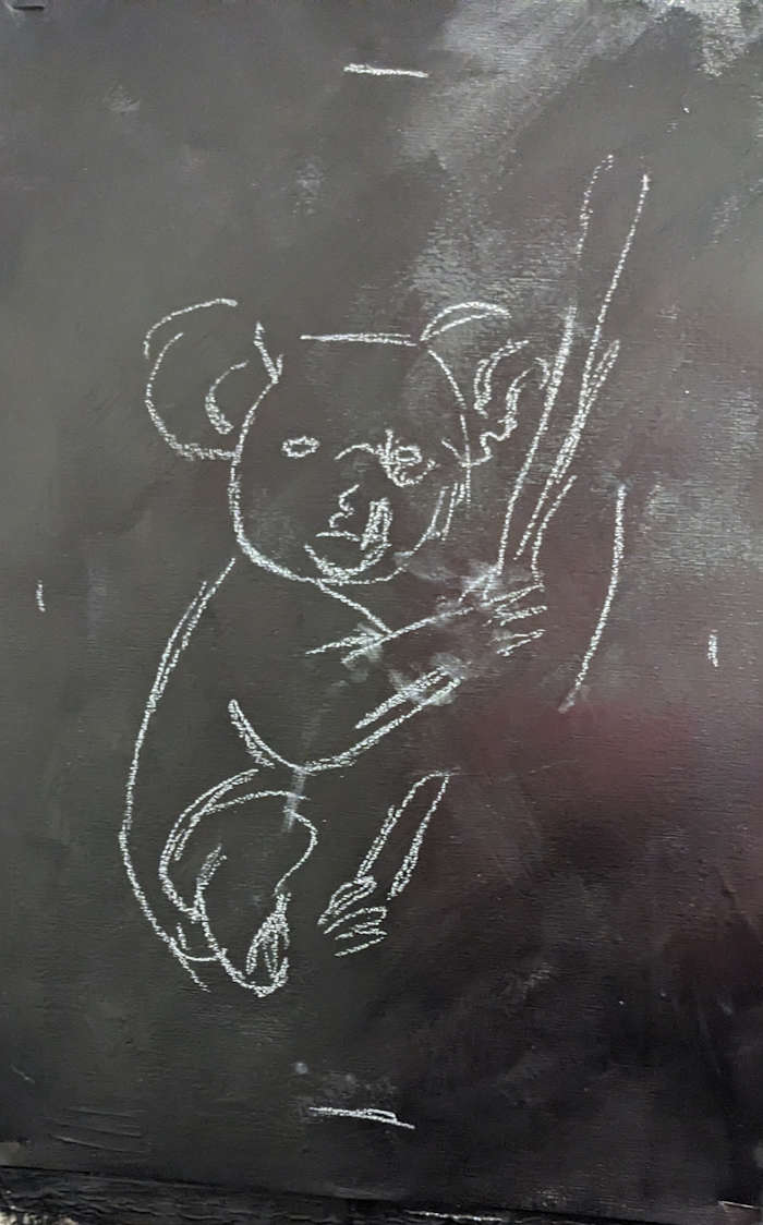koala1 koala1