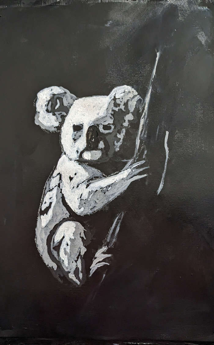 koala2 koala2