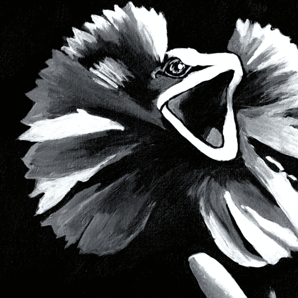 Frill Seeker - Image 2