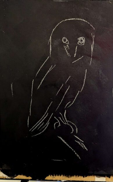 owl1 owl1