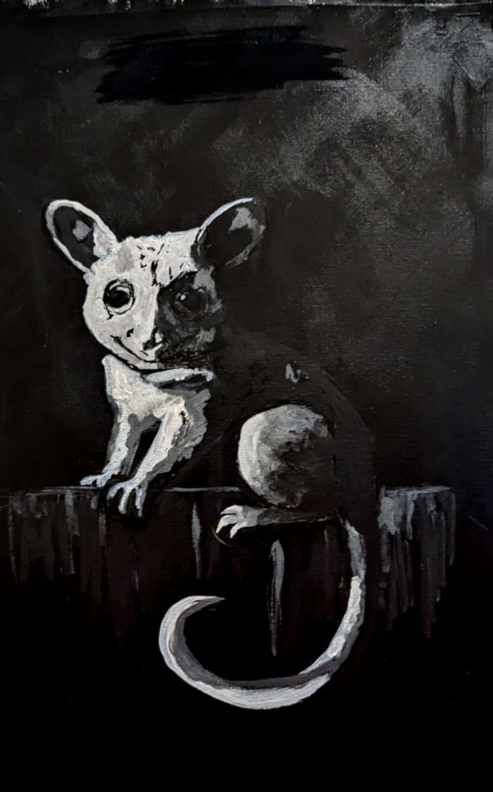 possum2 possum2
