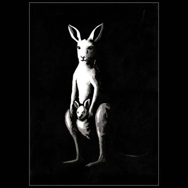 roo the night